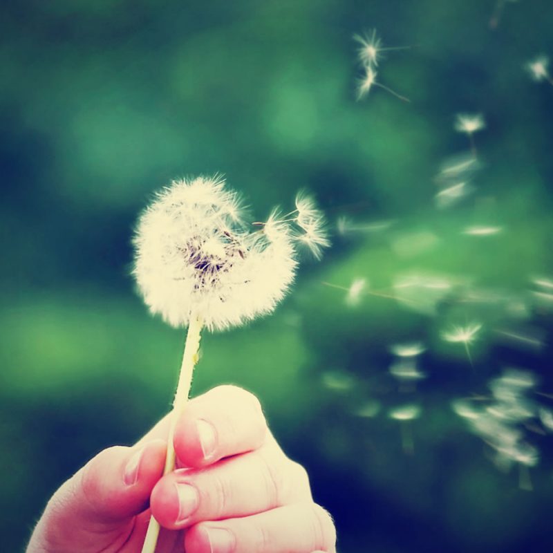 Allergic rhinitis - Allergies
